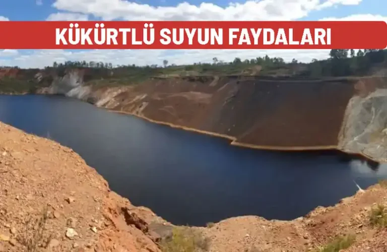kukurtlu suyun faydalari
