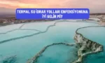 termal su idrar yollari enfeksiyonu
