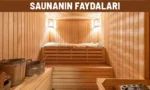 saunanin faydalari