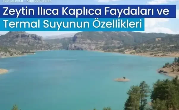 zeytin ilica kaplicalari faydalari