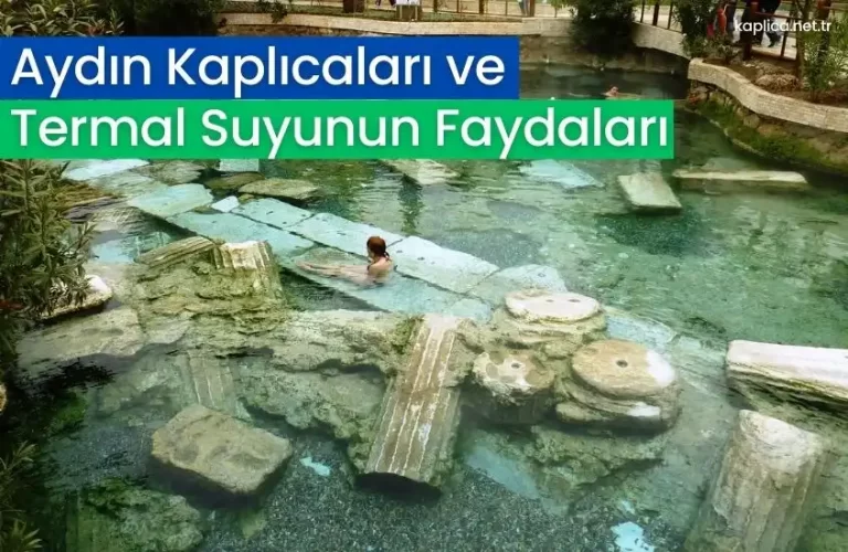 aydin kaplicalari