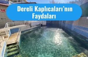 dereli kaplicalarinin faydalari