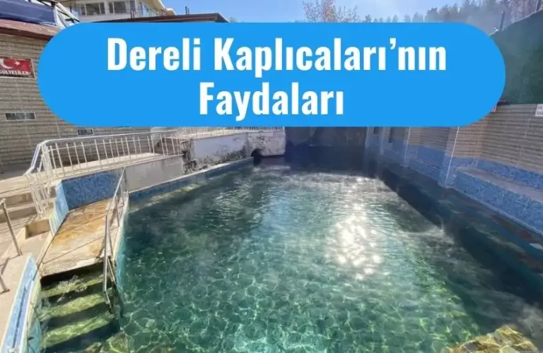 dereli kaplicalarinin faydalari