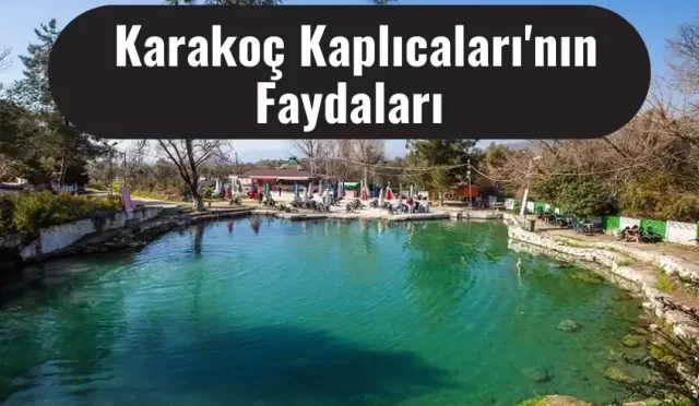 karakoc kaplicalarinin faydalari