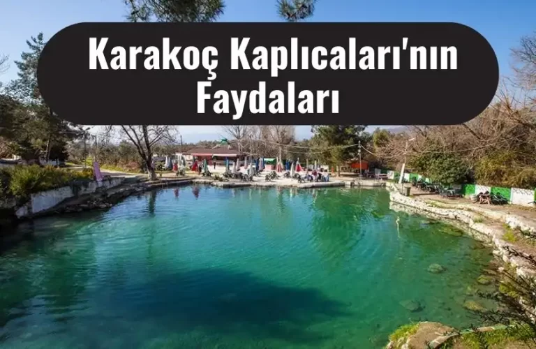 karakoc kaplicalarinin faydalari