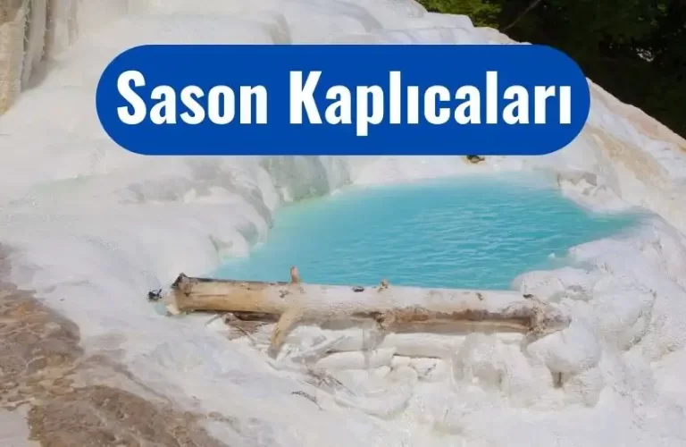 sason kaplicalari